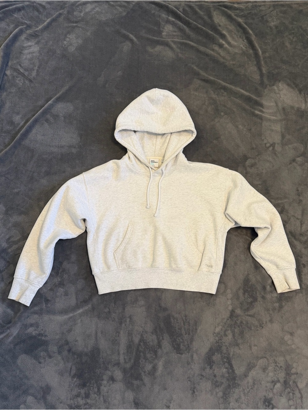 Aritzia TNA Sweatfleece Cozy Fleece Boxy Hoodie Grey M